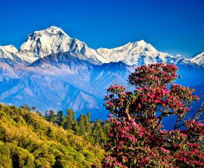 Himalayan Panorama at Royal Trek in Nepal